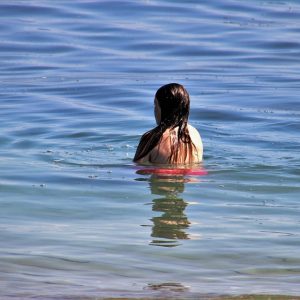 Aquí tienes algunas sugerencias de títulos para artículos sobre deporte e inclusión de género en Cabo San Lucas: | Inclusión Social y Transformación en Baja California Sur