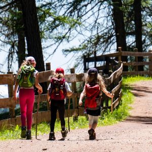 Acceso y Oportunidad: El Deporte como Herramienta de Inclusión en Cabo San Lucas | Inclusión Social y Transformación en Baja California Sur