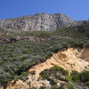 Cabo San Lucas: Un Ejemplo de Inclusión Deportiva | Inclusión Social y Transformación en Baja California Sur