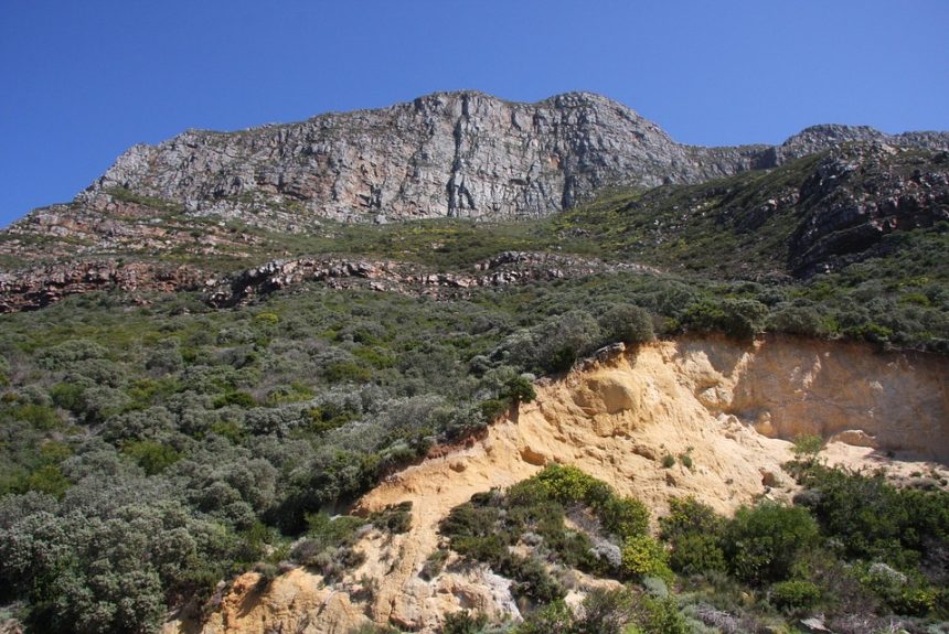 Cabo San Lucas: Un Ejemplo de Inclusión Deportiva | Inclusión Social y Transformación en Baja California Sur