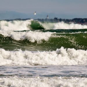 Cabo San Lucas en Equipo: Fomentando la Inclusión a Través del Deporte y el Liderazgo | Inclusión Social y Transformación en Baja California Sur