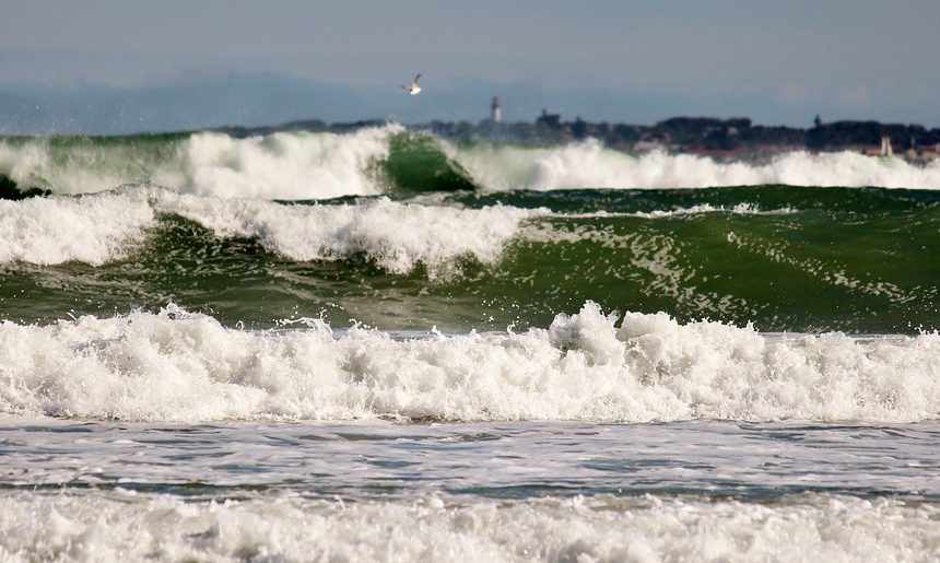 Cabo San Lucas en Equipo: Fomentando la Inclusión a Través del Deporte y el Liderazgo | Inclusión Social y Transformación en Baja California Sur