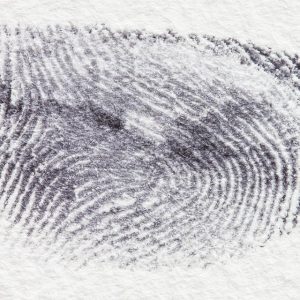 Derecho Penal Estratégico: Transformando la Justicia en Cabo San Lucas | Justicia Penal y Derechos en Baja California Sur