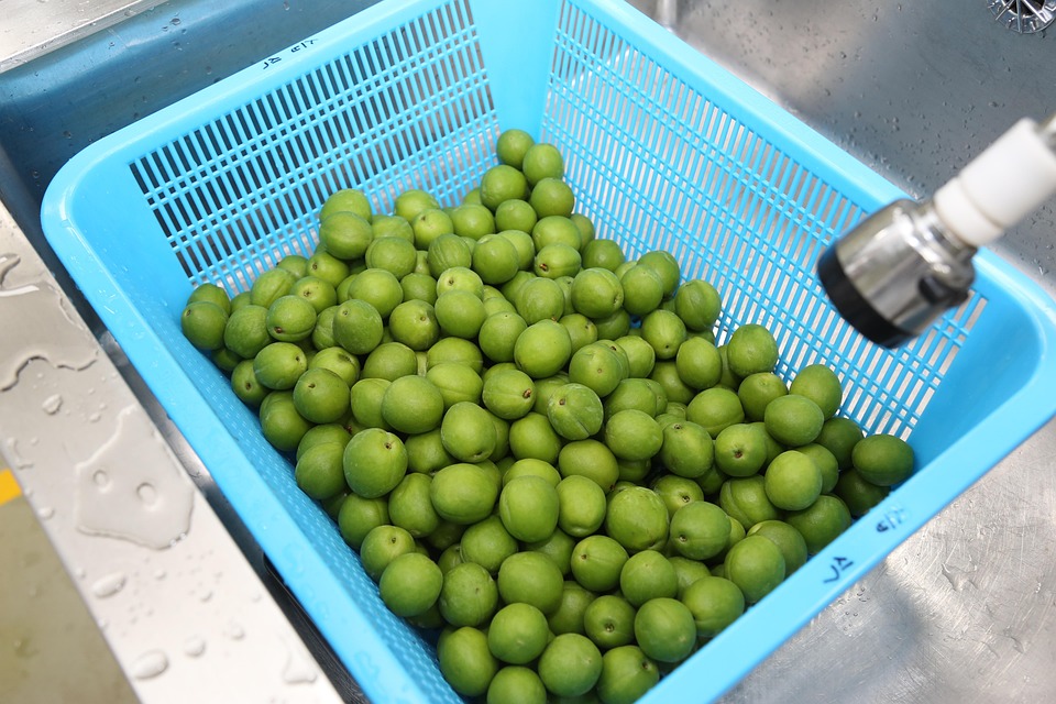 El-Proceso-Legal-para-la-Asignacion-de-Pensiones-Alimenticias-en.jpg El Proceso Legal para la Asignación de Pensiones Alimenticias en Cabo San Lucas | Derecho Familiar y Protección Legal en Baja California Sur