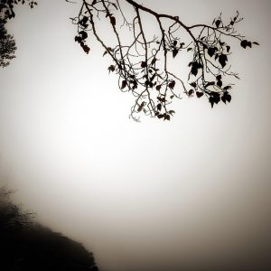 Espero que estas ideas te sean útiles. | Justicia Penal y Derechos en Baja California Sur
