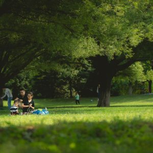 Familias-en-Cabo-San-Lucas-La-Importancia-de-la-Asesoria.jpg Familias en Cabo San Lucas: La Importancia de la Asesoría Legal en Pensiones Alimenticias | Derecho Familiar y Protección Legal en Baja California Sur
