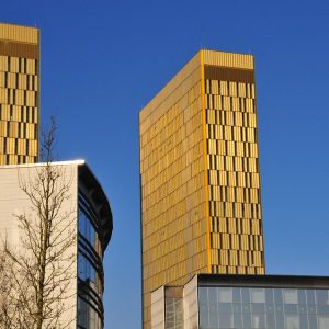 Justicia-en-Tiempo-Real-Como-los-Abogados-Defienden-Derechos-en.jpg Justicia en Tiempo Real: Cómo los Abogados Defienden Derechos en Cabo San Lucas | Justicia Penal y Derechos en Baja California Sur