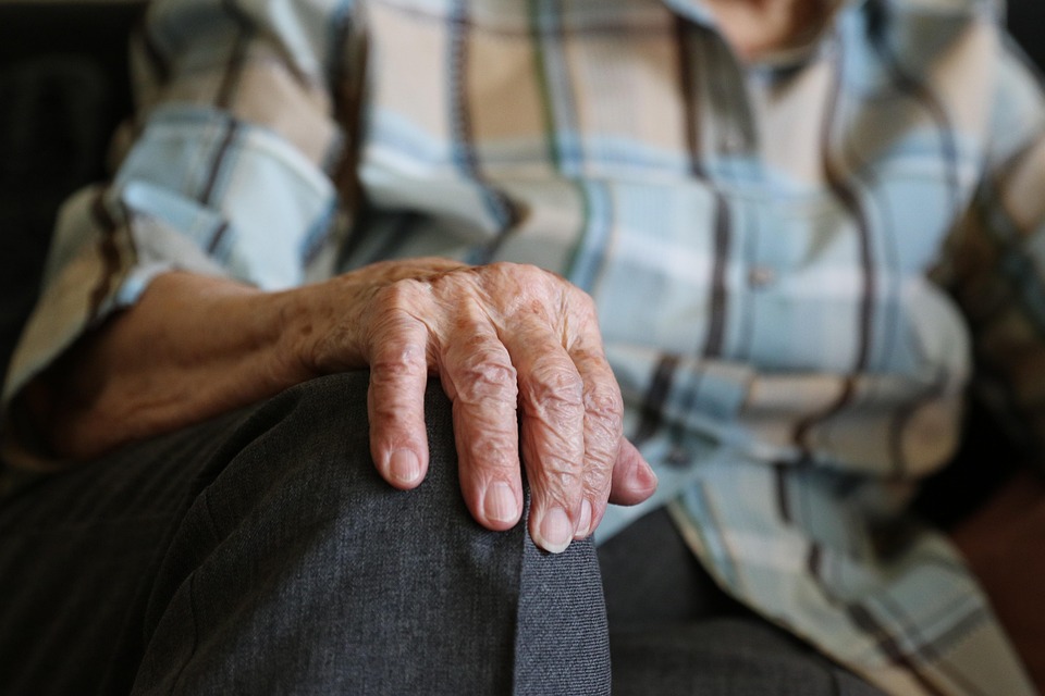 Pensiones-Alimenticias-en-Cabo-San-Lucas-Derechos-y-Obligaciones-que.jpg Pensiones Alimenticias en Cabo San Lucas: Derechos y Obligaciones que Debes Conocer | Derecho Familiar y Protección Legal en Baja California Sur
