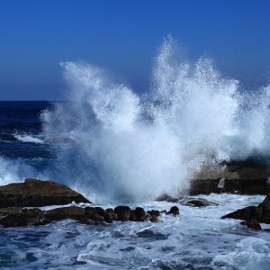 Rompiendo Barreras: La Inclusión de Género en el Deporte de Cabo San Lucas | Inclusión Social y Transformación en Baja California Sur