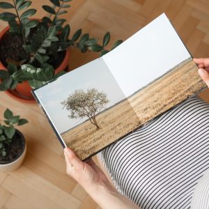 book-7543386_960_720.jpg Fotografía de Arte en Cabo: Un Viaje Visual por sus Tradiciones | Fotografía Profesional y Momentos Especiales en Baja California Sur