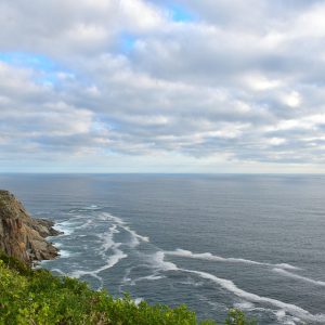 Cabo San Lucas: Tejiendo Redes de Participación Ciudadana | Liderazgo Ciudadano y Transformación en Baja California Sur