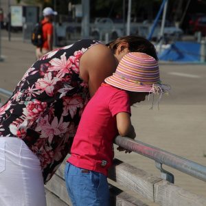 Aquí tienes algunas sugerencias de títulos en español para artículos sobre fotografía profesional en Cabo San Lucas, centrados en el tema de la fotografía de acción: | Fotografía Profesional y Momentos Especiales en Baja California Sur