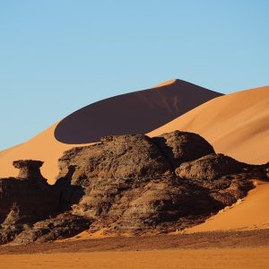 De la Mesa a la Cámara: Consejos para Fotografiar Comidas en Cabo San Lucas | Fotografía Profesional y Momentos Especiales en Baja California Sur