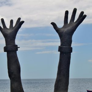 Espero que estas ideas te sean útiles y atractivas para tu propósito. | Liderazgo Ciudadano y Transformación en Baja California Sur
