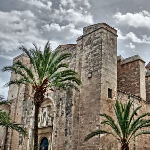 Del Sueño a la Realidad: Proyectos Comunitarios en Cabo San Lucas | Liderazgo Ciudadano y Transformación en Baja California Sur