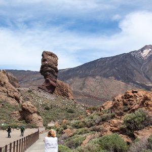 nature-347602_960_720.jpg Del Sueño a la Acción: Proyectos Comunitarios que Marcan la Diferencia en Cabo San Lucas | Liderazgo Ciudadano y Transformación en Baja California Sur