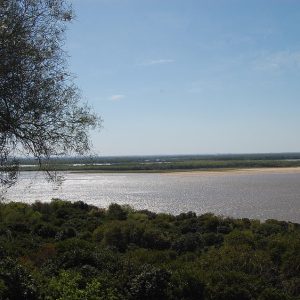 parana-river-67020_960_720.jpg Entre el Desierto y el Mar: La Fotografía Cultural de Cabo San Lucas | Fotografía Profesional y Momentos Especiales en Baja California Sur