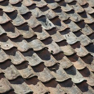 roof-8193787_960_720.jpg Tejiendo Redes: La Fuerza del Liderazgo Comunitario en Cabo San Lucas | Liderazgo Ciudadano y Transformación en Baja California Sur