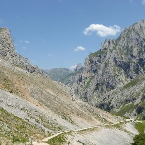 Rutas Seguras: Cómo Moverse con Precaución en Cabo San Lucas | Seguridad en Baja California Sur