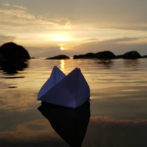 Espero que te resulten útiles. ¡Éxito con tu artículo! | Fotografía Profesional y Momentos Especiales en Baja California Sur