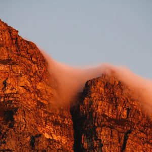 Cabo San Lucas a Través del Lente: Capturando la Esencia de la Cocina Baja Californiana | Fotografía Profesional y Momentos Especiales en Baja California Sur