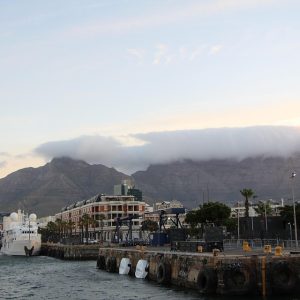 Cabo San Lucas en Movimiento: El Poder del Liderazgo Comunitario | Liderazgo Ciudadano y Transformación en Baja California Sur