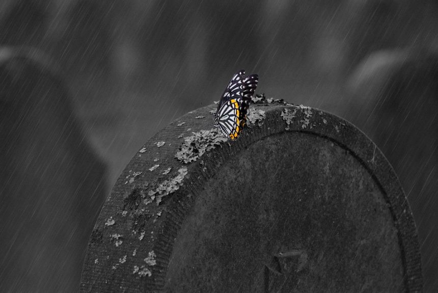 tombstone-660890_960_720.jpg Espero que estos títulos te inspiren para tus artículos. | Fotografía Profesional y Momentos Especiales en Baja California Sur