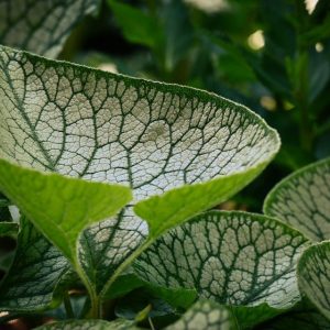 Transforma tu Entorno: Cómo la Acción Colectiva Está Cambiando Cabo San Lucas | Liderazgo Ciudadano y Transformación en Baja California Sur