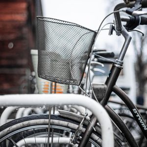 Activismo-Deportivo-Impulsando-la-Inclusion-en-Cabo-San-Lucas.jpg Activismo Deportivo: Impulsando la Inclusión en Cabo San Lucas | Inclusión Social y Transformación en Baja California Sur