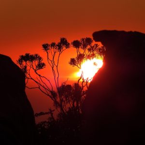 Cabo San Lucas Brinda Oportunidades: Iniciativas Clave en Deporte Adaptado | Inclusión Social y Transformación en Baja California Sur