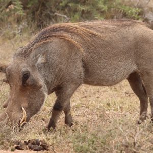 Cabo-San-Lucas-Normativas-sobre-Pensiones-Alimenticias-y-su-Aplicacion.jpg Cabo San Lucas: Normativas sobre Pensiones Alimenticias y su Aplicación | Derecho Familiar y Protección Legal en Baja California Sur