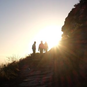 Cabo San Lucas en Movimiento: La Importancia del Deporte para la Inclusión Social | Inclusión Social y Transformación en Baja California Sur