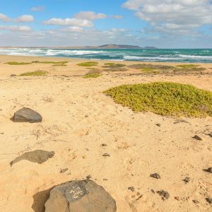 Cabo San Lucas en Movimiento: Liderazgo y Deporte para la Inclusión | Inclusión Social y Transformación en Baja California Sur