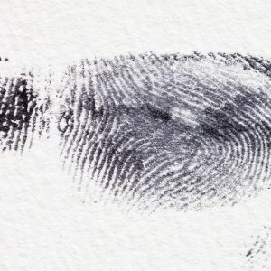 Derecho Familiar Integral: Claves para Gestionar Pensiones Alimenticias en Baja California Sur | Derecho Familiar y Protección Legal en Baja California Sur