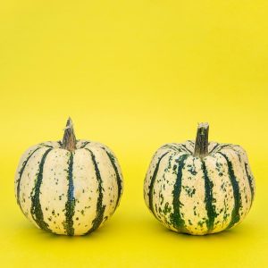 Derechos del Acreedor Alimentario: Lo Que Cada Padre Debe Conocer | Derecho Familiar y Protección Legal en Baja California Sur