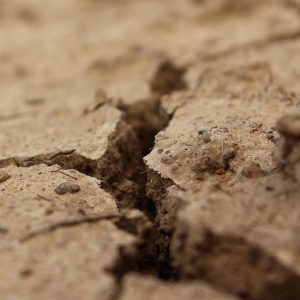 Divorcio y Pensión Alimenticia: ¿Qué Debes Saber en la Legislación Familiar de Baja California Sur? | Derecho Familiar y Protección Legal en Baja California Sur