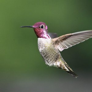 Fotografía de Vanguardia en Los Cabos: Tendencias y Estilos | Fotografía Profesional y Momentos Especiales en Baja California Sur