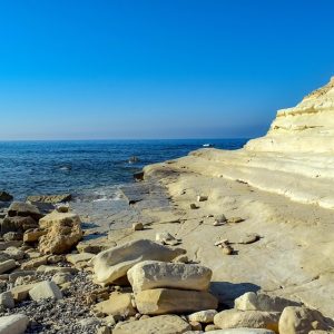 Cabo San Lucas y el Poder de la Participación Ciudadana en el Desarrollo Sostenible | Liderazgo Ciudadano y Transformación en Baja California Sur