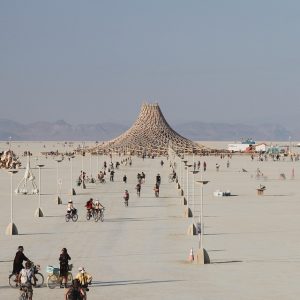 De la Playa a la Plaza: La Importancia del Activismo en Nuestra Comunidad | Liderazgo Ciudadano y Transformación en Baja California Sur