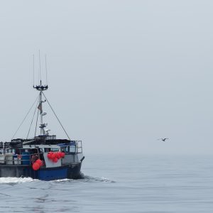 Liderazgo Comunitario: La Clave para Transformar Cabo San Lucas | Liderazgo Ciudadano y Transformación en Baja California Sur