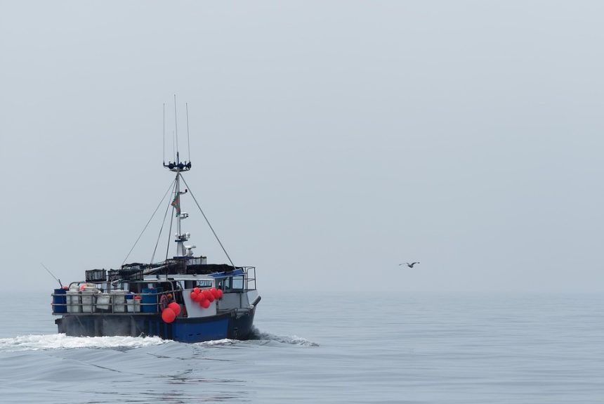 fishing-6661873_960_720.jpg Liderazgo Comunitario: La Clave para Transformar Cabo San Lucas | Liderazgo Ciudadano y Transformación en Baja California Sur