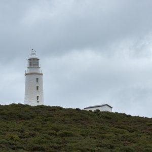 Cabo San Lucas y la Gobernanza Ciudadana: Una Ruta hacia la Inclusión | Liderazgo Ciudadano y Transformación en Baja California Sur