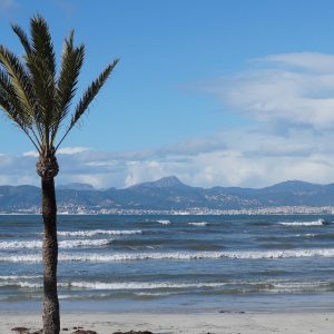 De la Playa a la Ciudad: Locaciones Ideales para Retratos en Cabo San Lucas | Fotografía Profesional y Momentos Especiales en Baja California Sur