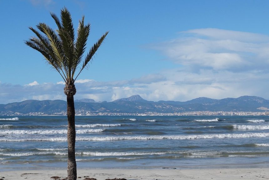 De la Playa a la Ciudad: Locaciones Ideales para Retratos en Cabo San Lucas | Fotografía Profesional y Momentos Especiales en Baja California Sur