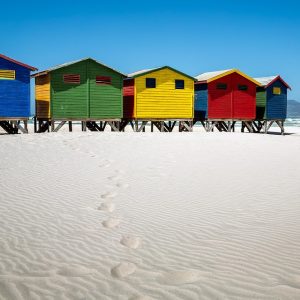 Cabo San Lucas en Movimiento: Historias de Acción y Liderazgo | Liderazgo Ciudadano y Transformación en Baja California Sur