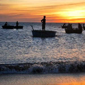 Aquí tienes algunas sugerencias de títulos en español para artículos sobre acción ciudadana y liderazgo comunitario en Cabo San Lucas, enfocados en la gobernanza ciudadana: | Liderazgo Ciudadano y Transformación en Baja California Sur