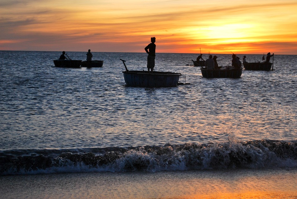 picked-jellyfish-2253611_960_720.jpg Aquí tienes algunas sugerencias de títulos en español para artículos sobre acción ciudadana y liderazgo comunitario en Cabo San Lucas, enfocados en la gobernanza ciudadana: | Liderazgo Ciudadano y Transformación en Baja California Sur