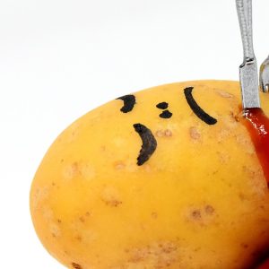 potato-3404407_960_720.jpg Cómo un Especialista en Criminalística Digital Combate el Delito en Baja California Sur | Seguridad en Baja California Sur