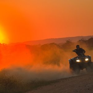 Acción Ciudadana: Una Fuerza Impulsora del Progreso en Cabo San Lucas | Liderazgo Ciudadano y Transformación en Baja California Sur