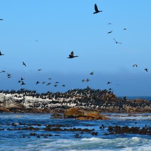 Cabo San Lucas y la Fotografía Publicitaria: Una Combinación Ganadora | Fotografía Profesional y Momentos Especiales en Baja California Sur